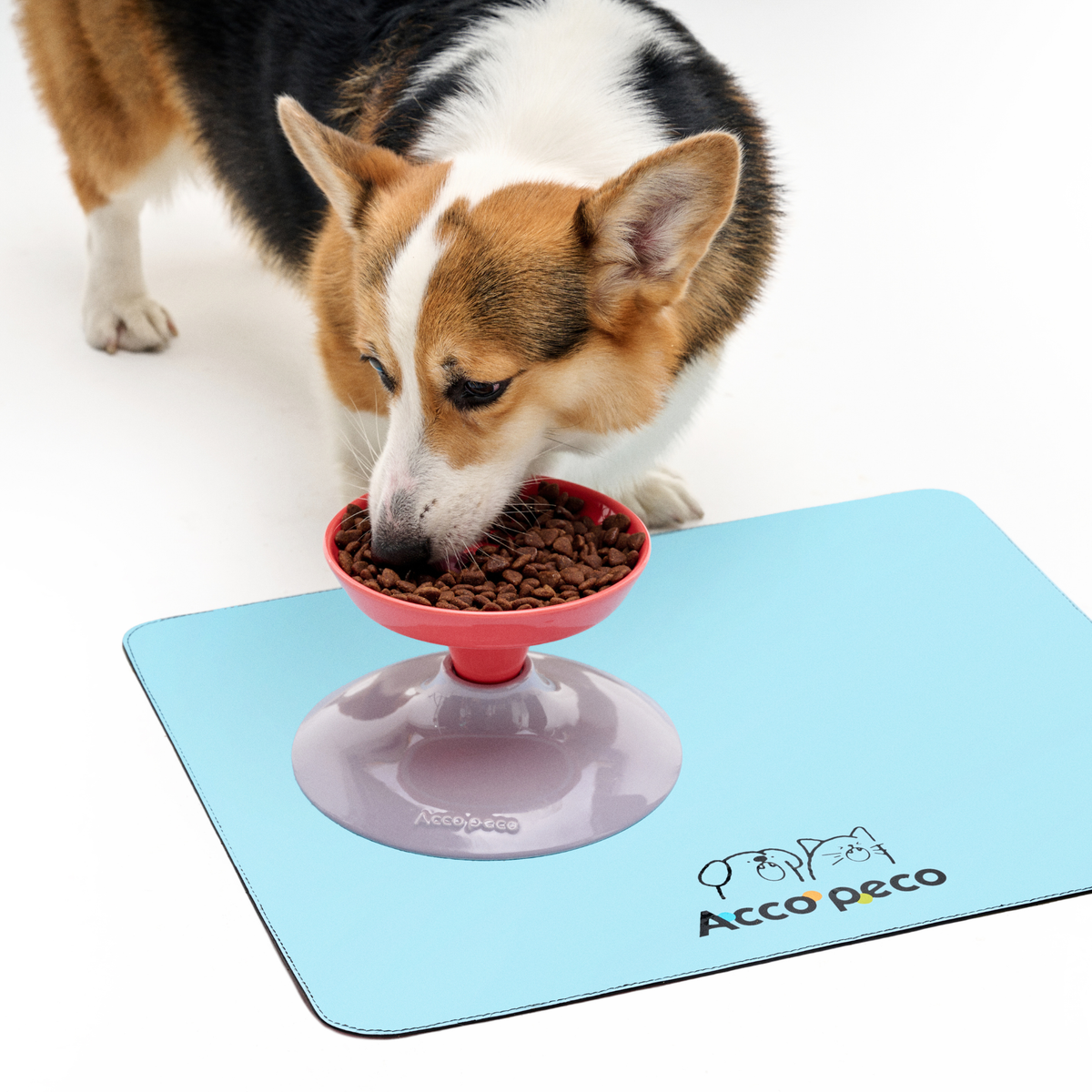 AccoGift Feeding Set｜Ceramic Dog Bowl with Stand + Feeding Mat｜Save 21%